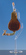 notify_thumb